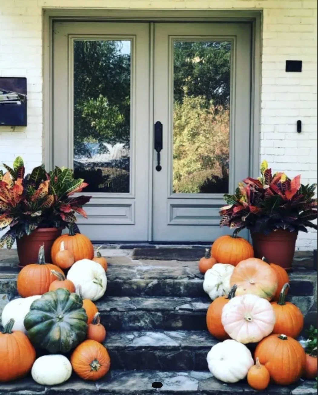 Four differently sized porch displays of real uncarved pumpkins