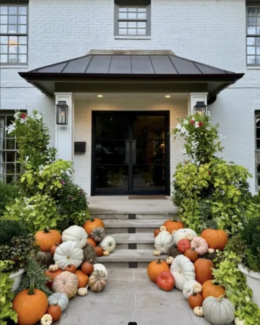Premium pumpkins being selected and organized for delivery